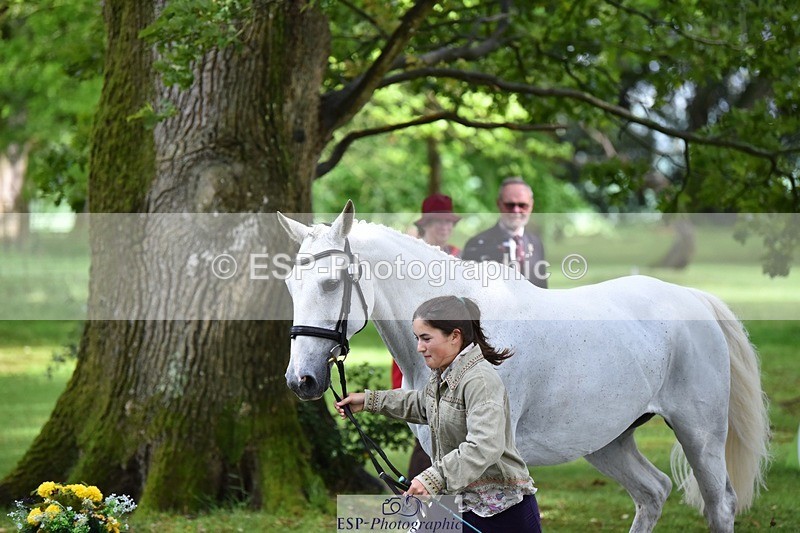 240522-155928-00624 - 112-DISCO_DONUT-Mahony_Knight