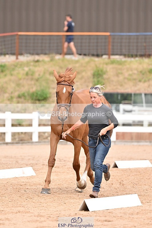 250716-154132-02120 - Trot Up 3.30 to 4.30