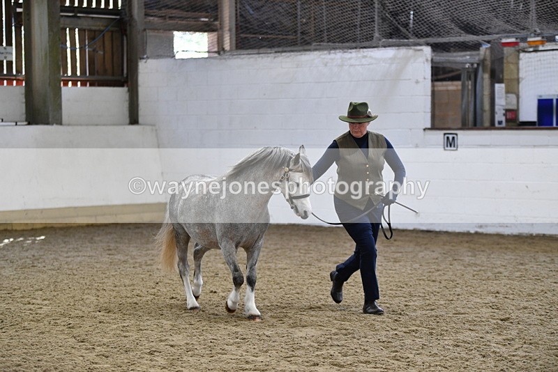 WJ5_5406 - Class 4 In hand M&M - small breeds