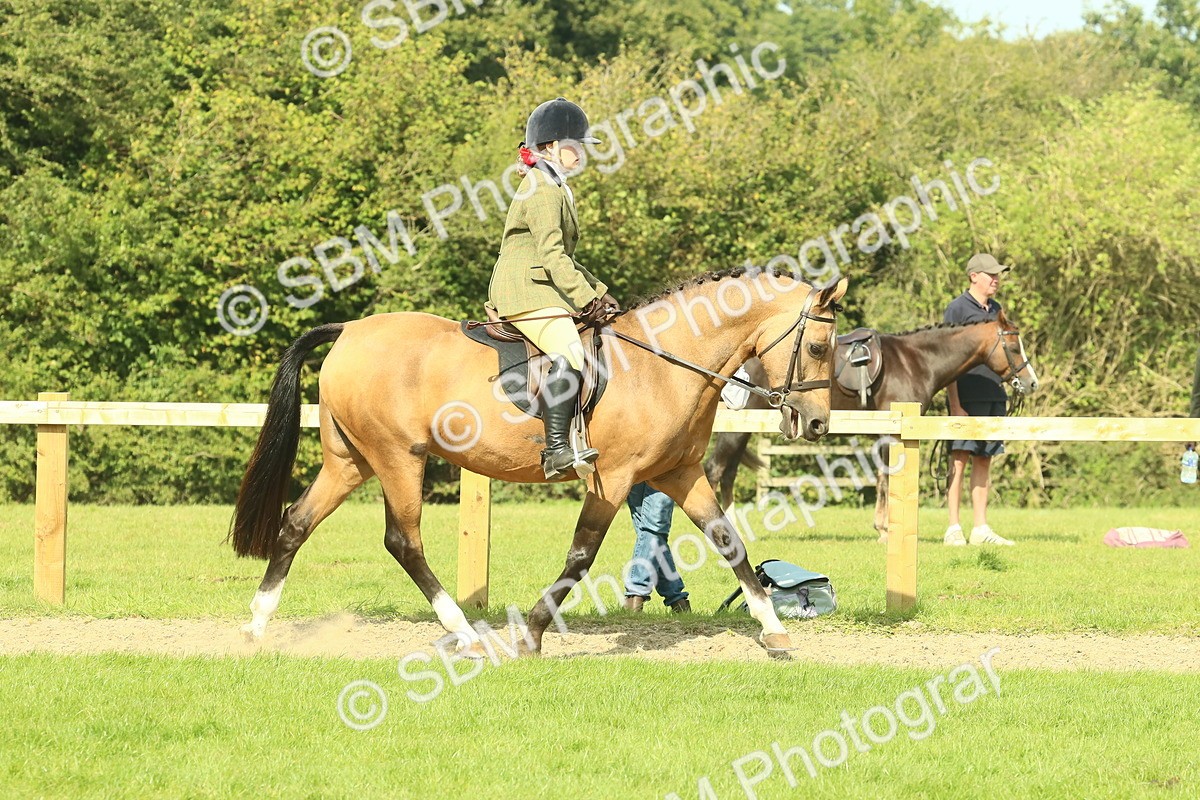 SBM_67403 - S56 - Coloured Pony Ridden