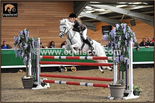 equiscot 5954 TAYLOR WARD GREY PALACE - 2012 PRIZEWINNERS INDIVIDUAL PICS