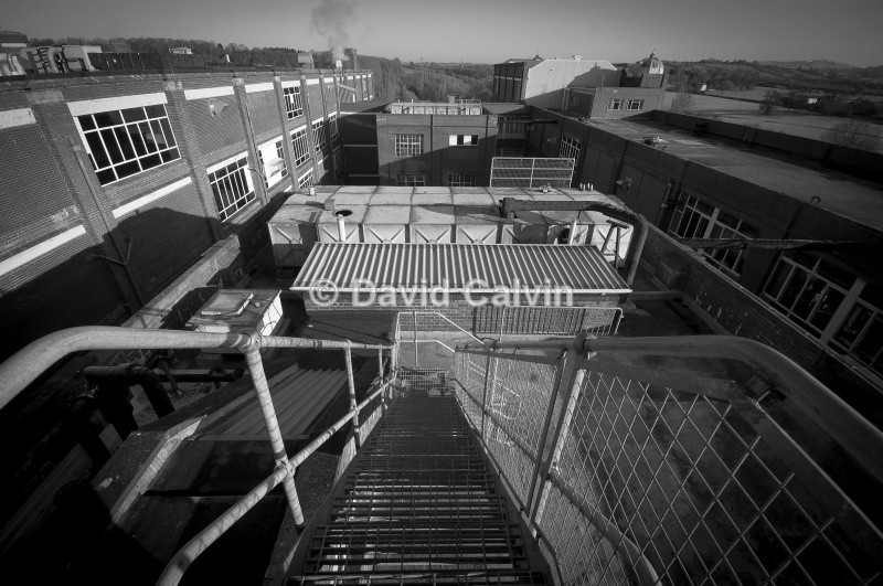 Scaling the Rooftops - Sunset on Somerdale