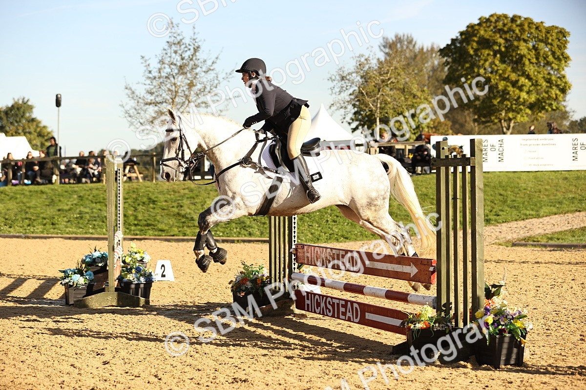 SBM_34635 - J38 - Senior 80cm Championship