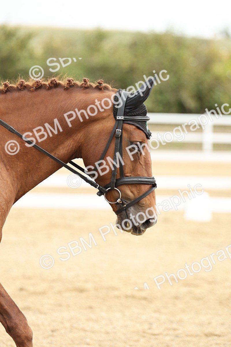 SBM_006907 - Class 21 - Medium 5 Bronze - 10.04-10.52