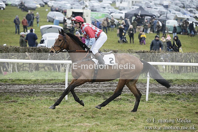 PtP 020418 -96 - Old Berks Point-to-Point Races Easter Monday 02/04/18