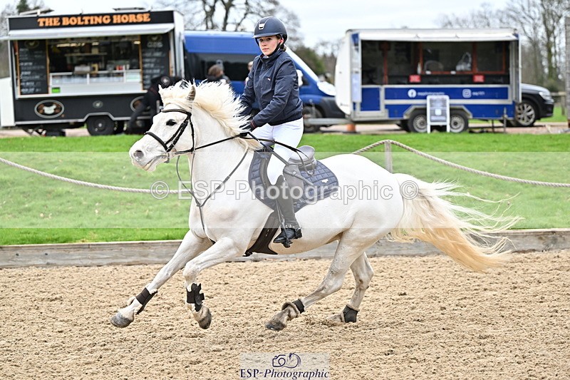 250201A-101329-00170 - Cls 01 Local Horse 90cm
