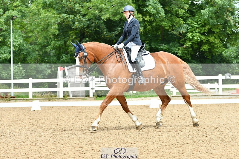 230701A-121941-05709 - Cls 7 Elementary 45