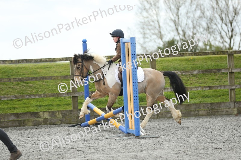 20260412-0635 - Show Jumping