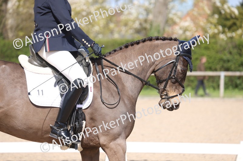 20260405-0477 - Class 5 - Elementary 5