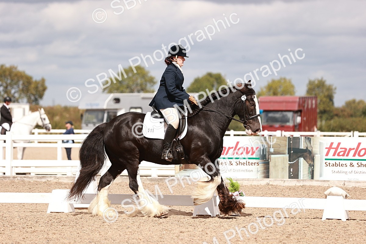 SBM_06204 - Class 37 - Novice 5