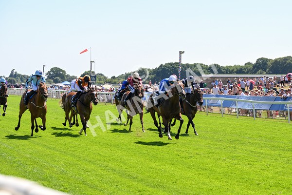 110725-Race 2-Sayidah Dariyan-0216 - Race 2 2.45pm William Hill Summer Stakes