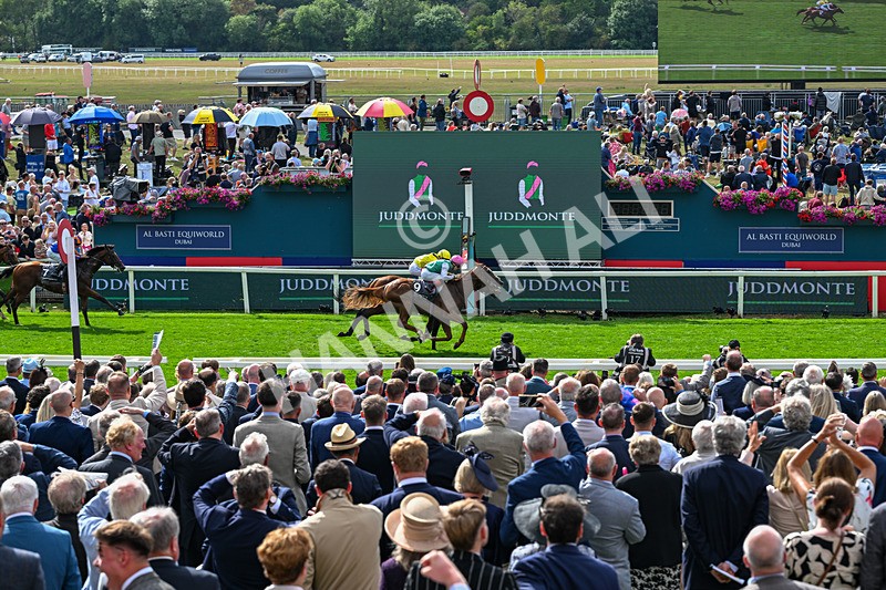190826-Race 4-Item-1503 - Race 4 15.35pm Juddmonte International Stakes