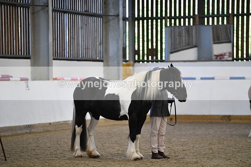 WJ5_5453 - Class 8 In hand cob