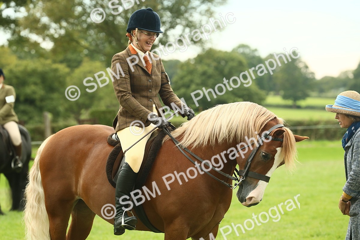 SBM_71955 - S60 - Mountain & Moorland Ridden Large Breeds