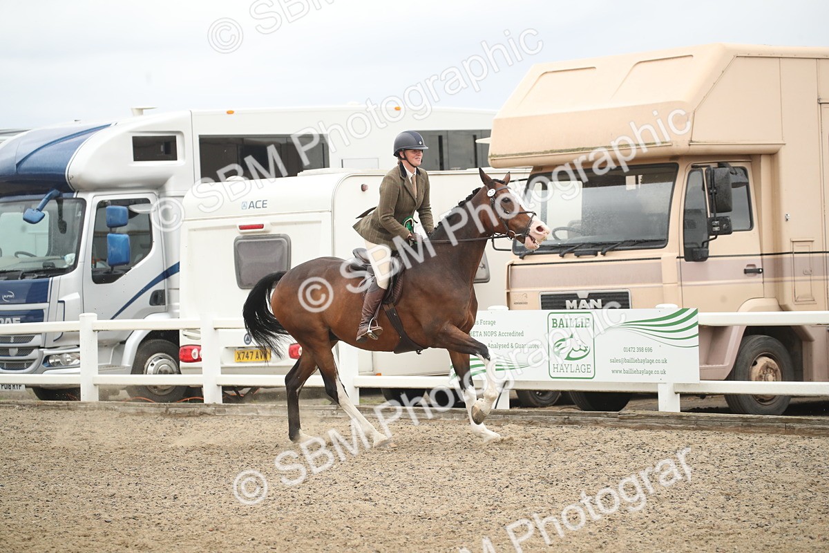 SBM_18432 - Class 509B - Working Veteran - 80cm (20+)