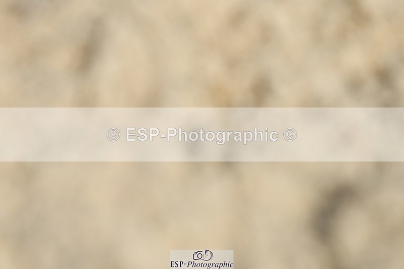 230623-154727-01191 - Cls 7 Medium 69