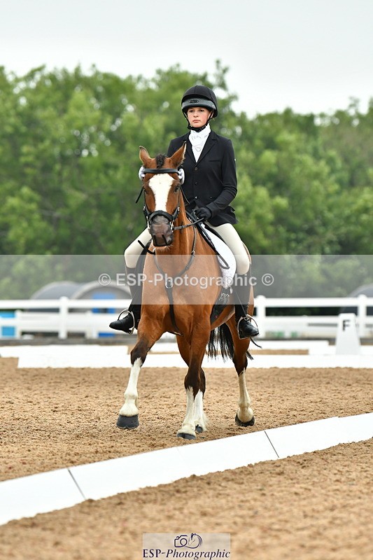 230708A-115342-02656 - Prelim 13