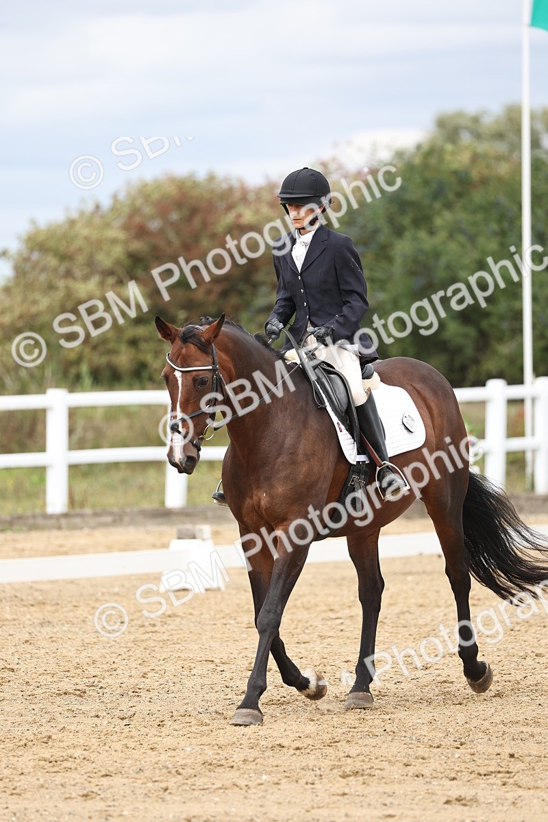 SBM_002698 - Class 7 - Novice 2 Warm Up