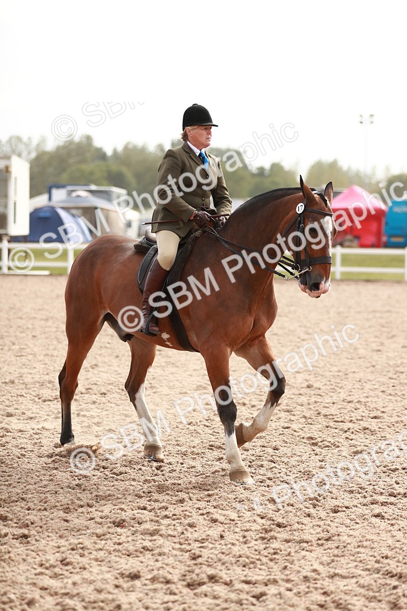 SBM_16810 - Class 214 Ridden Cob