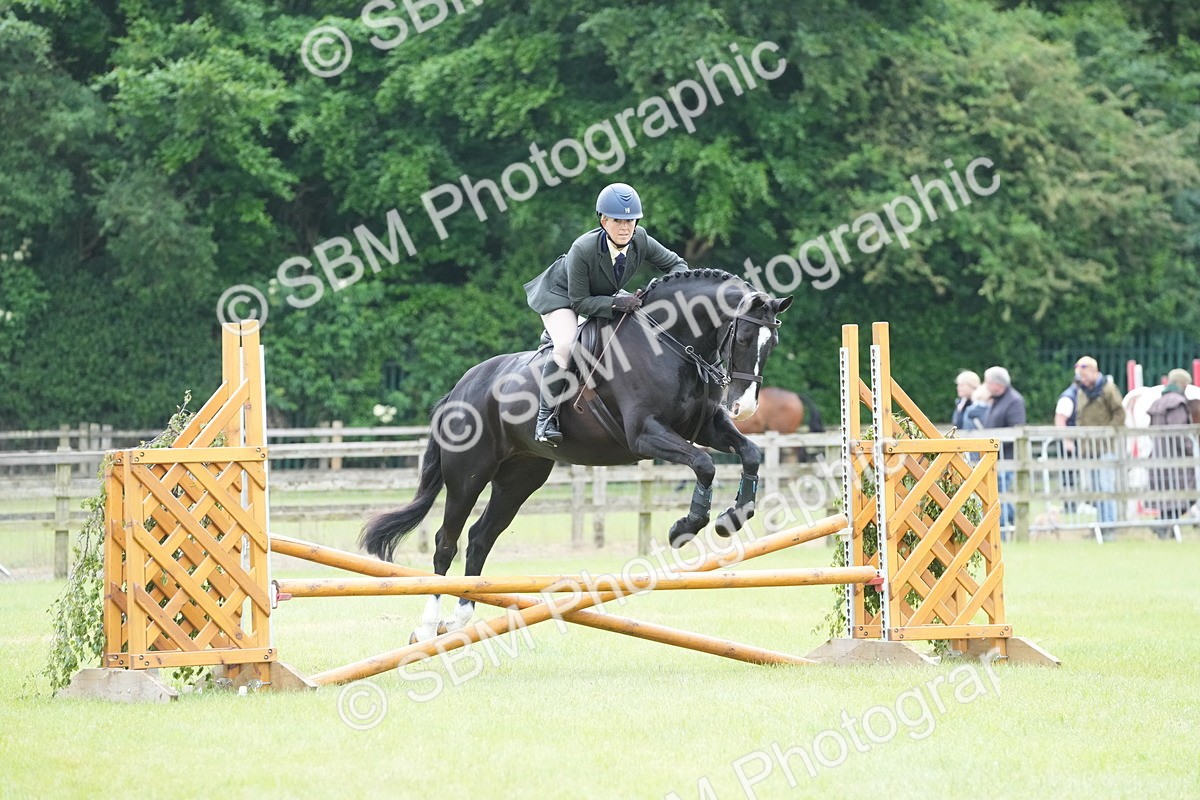 SBM_12572 - Class 97-98 - LIHS BSHA Rising Star Working Show Horse Hunter