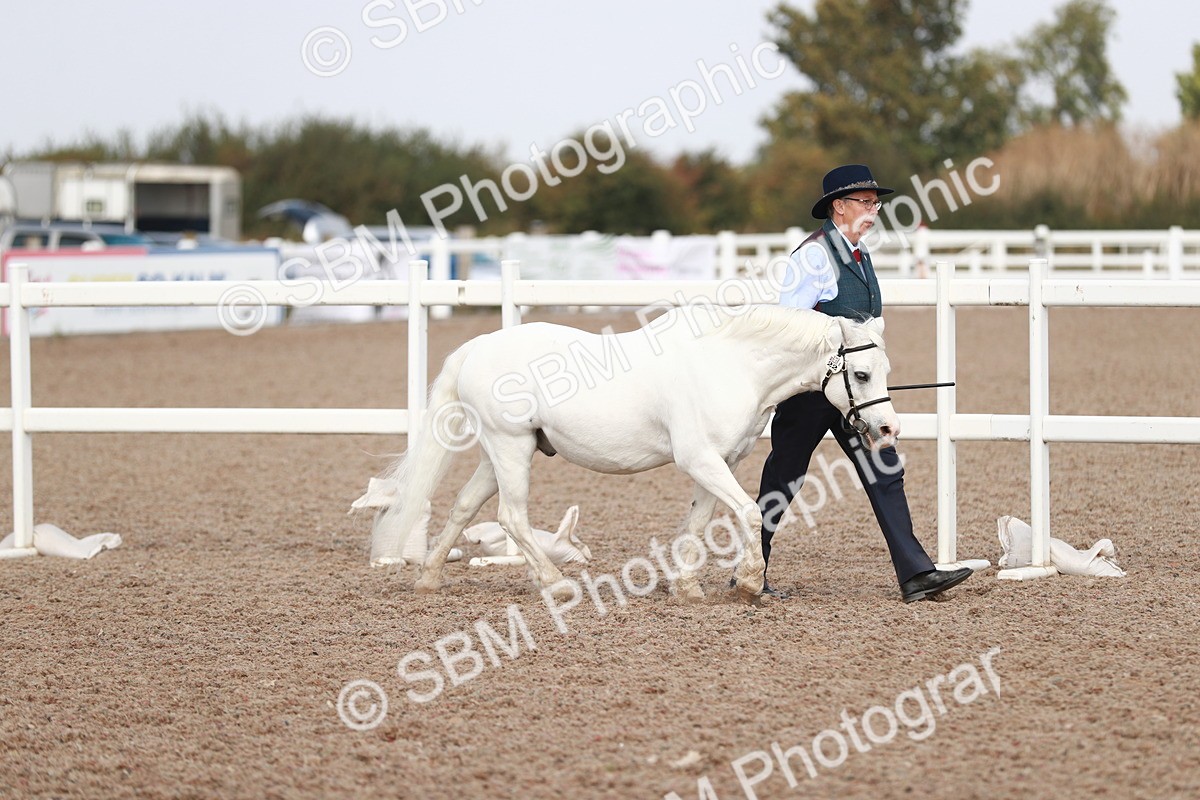 SBM_13821 - Class 209 IH Veteran Pony