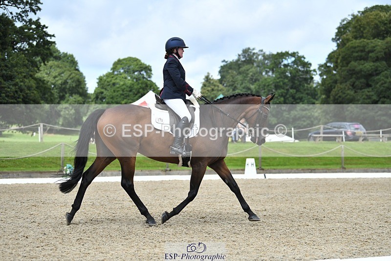 230812-110750-03542 - Cls 6 Novice Silver 10.30 to 11.55 break