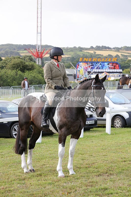 1X9A2889 - Class 25: Ridden Plaited Coloured Horse