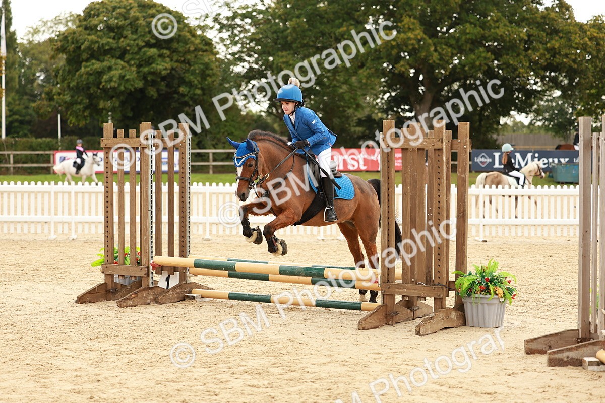 SBM_57857 - J11 - Junior Pony 50cm Championship