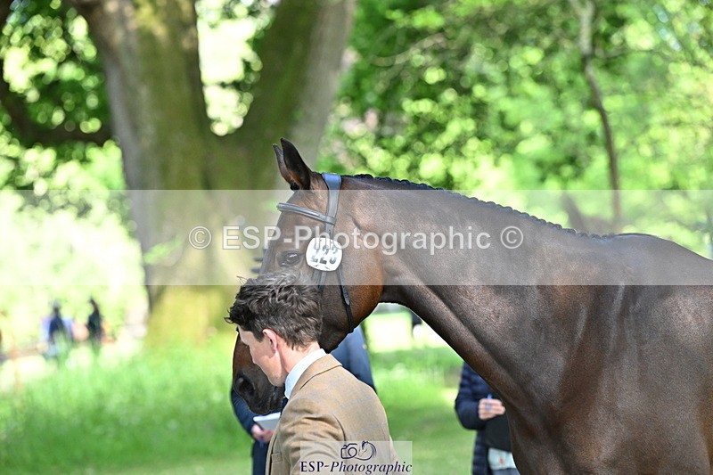 250521A-162647-01149 - C-223-Tom.McEwen-BROOKFIELD.DANNY.DE.MUZE