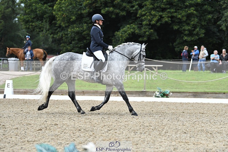 230812-103811-03410 - Cls 6 Novice Silver 10.30 to 11.55 break