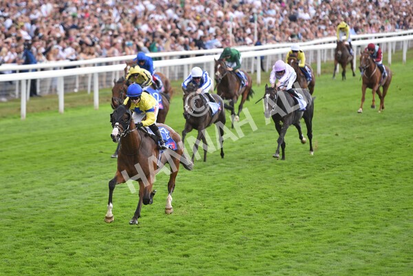 yr20082022r2-38 - Race 2 2.35pm Sky Bet Melrose Stakes