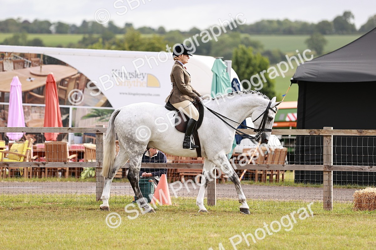 SBM_10839 - Class 81-84 - RIHS Ridden hunters Inc Ladies Hunter