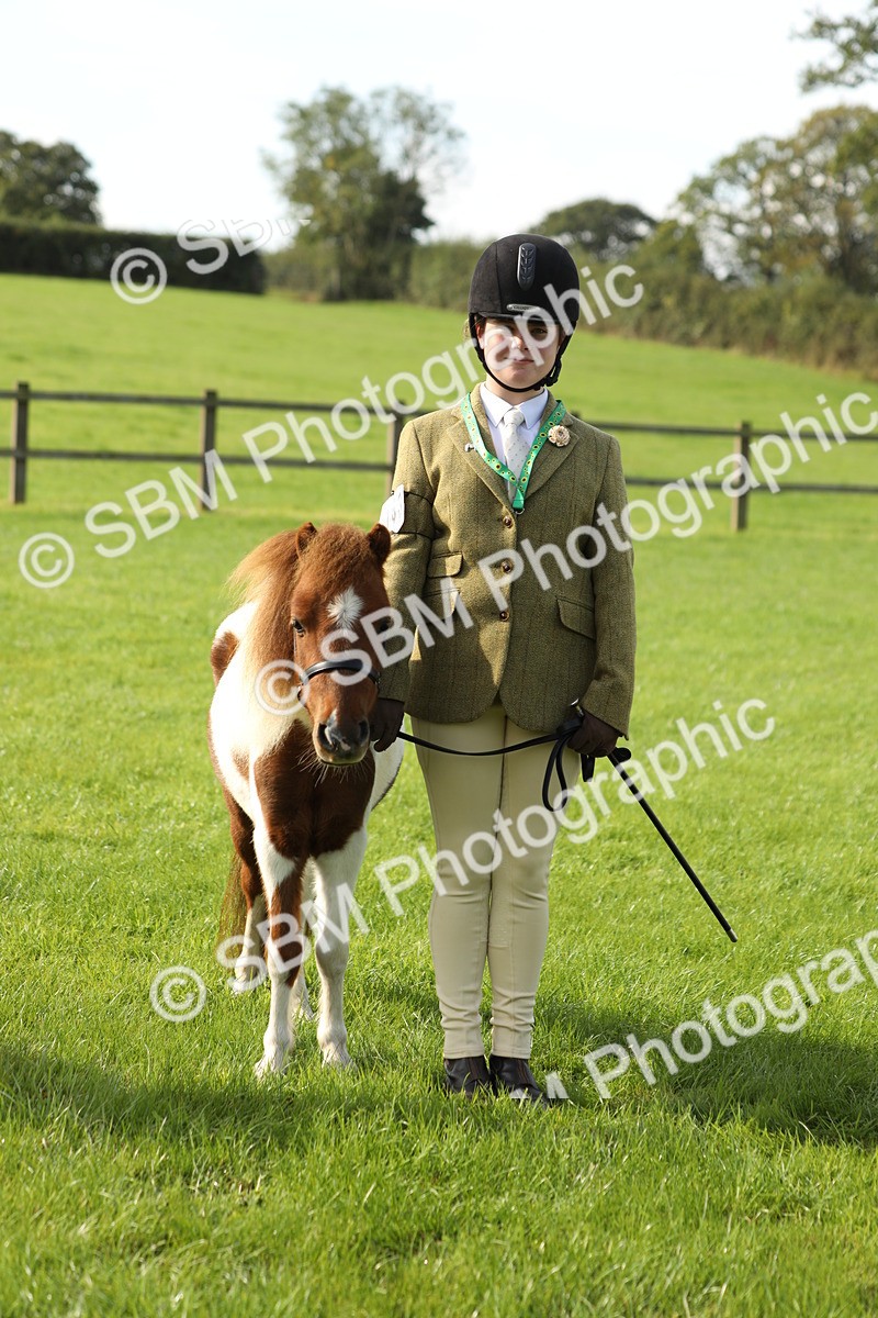 SBM_60987 - S43 - Coloured Pony In Hand