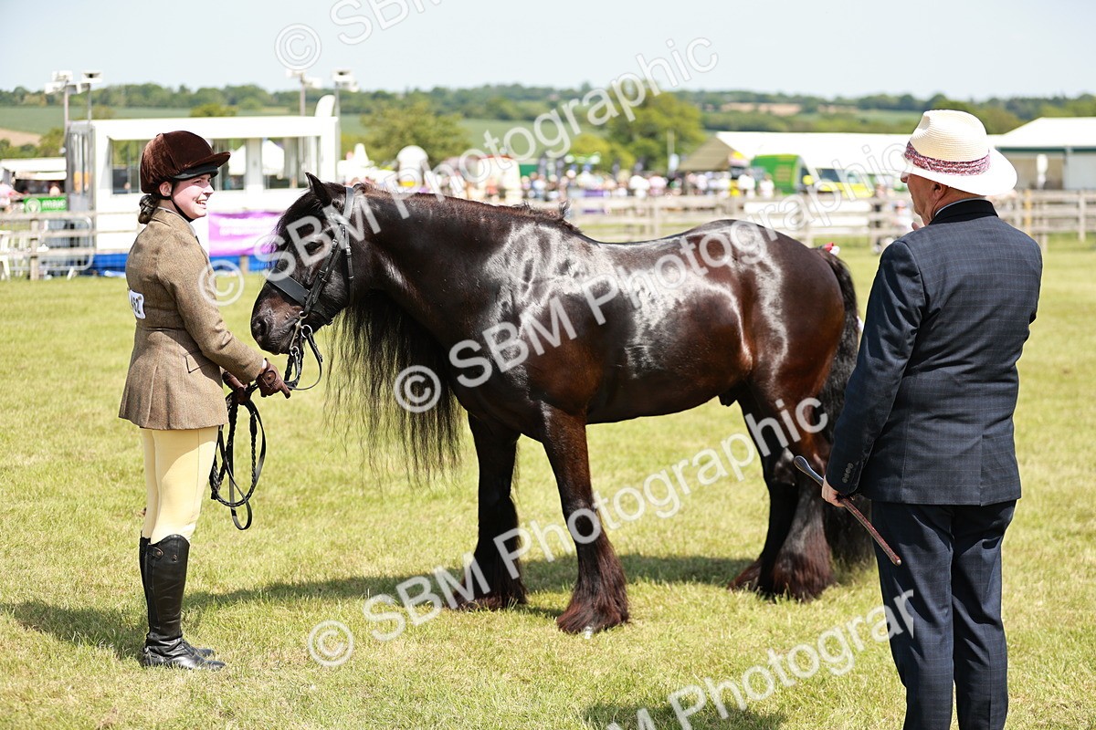 SBM_07160 - Class 26-30 - Mountain and Moorland Ridden