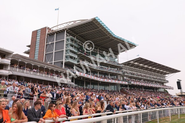 yr23072022r1-86 - Race 1 2.05pm Sky Bet Jump Jockeys Nunthorpe