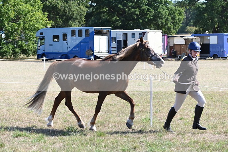 WJ6_4497 - Class 17 Mountain & Moorland