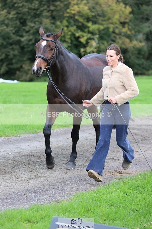 251026A-105116-23326 - G-524-Emma.Ergatoudis