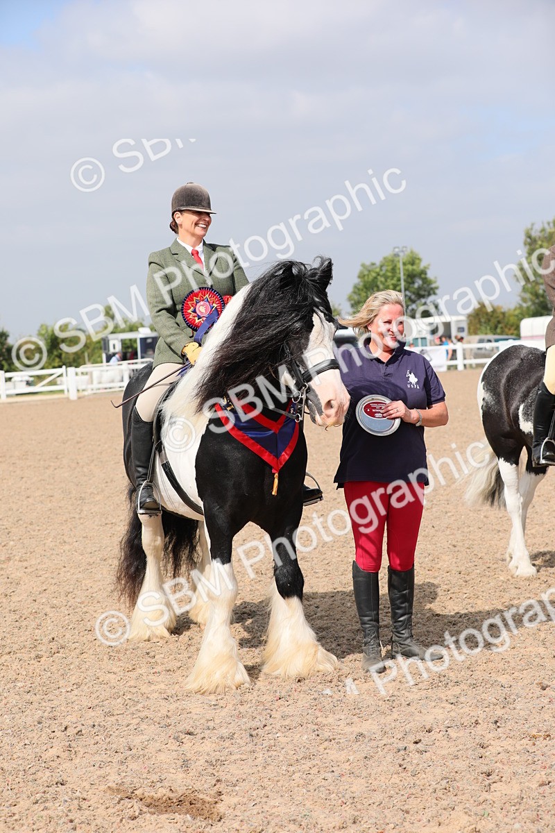 SBM_12845 - Class 307 Ridden Coloured Pony