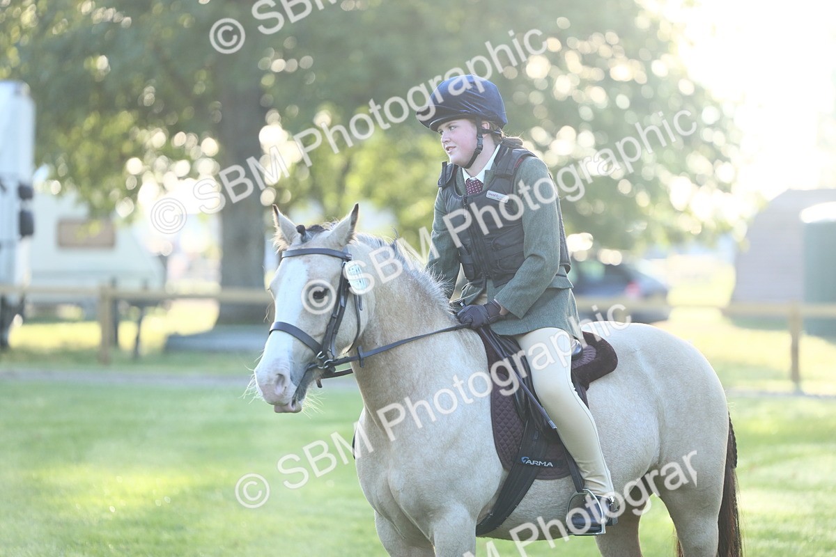SBM_31869 - S28 - Nursery Stakes Working Hunter Pony