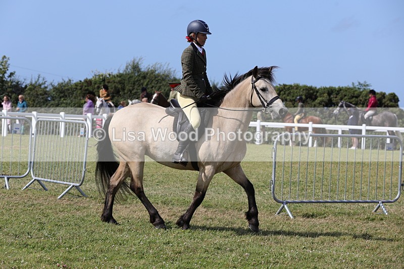 1X9A5525 - Class 38: NPS Novice Ridden Small and Large Breeds