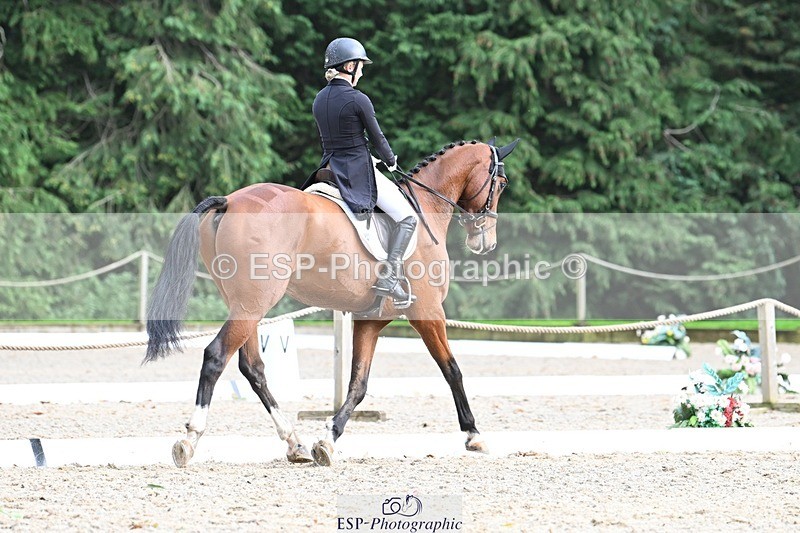 231019-163338-05364 - 070-SLIGO.CASTLE.JACOMAR-Veera.Peltokangas-DR