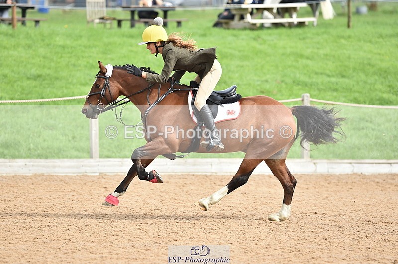 230902A-112158-00689 - Cls 2B Pony Small 80cm