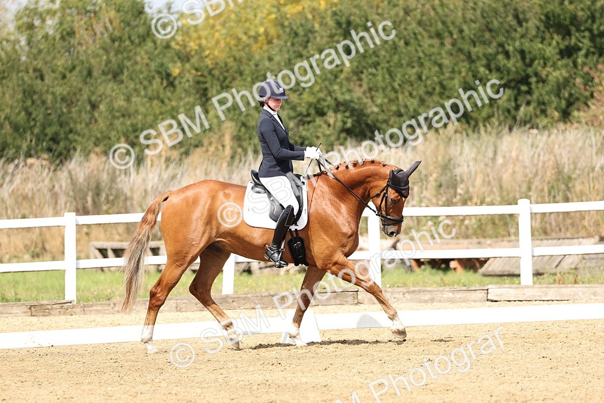 SBM_018360 - Class 16 - Novice 5 - 11.12-12.01