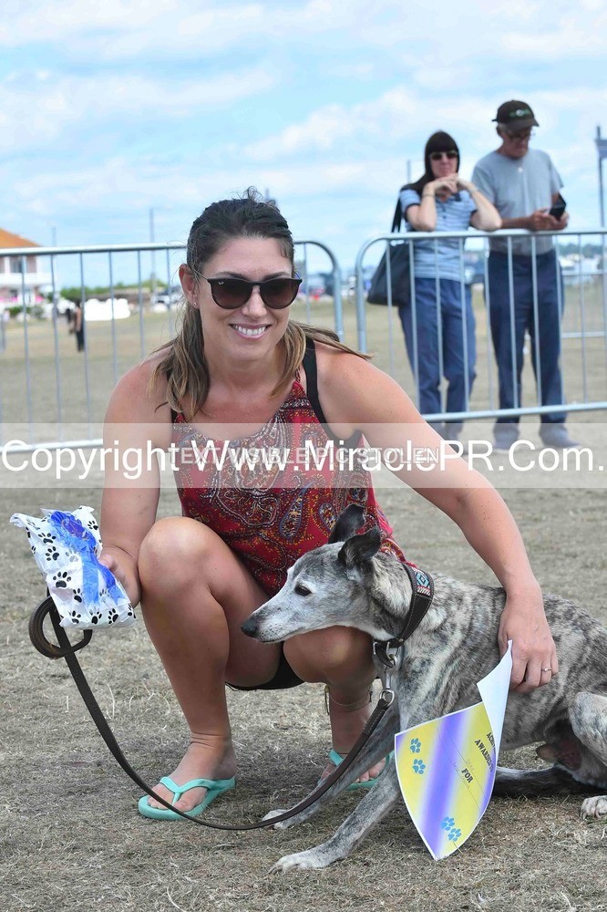 SH4_0195 - Dog show.