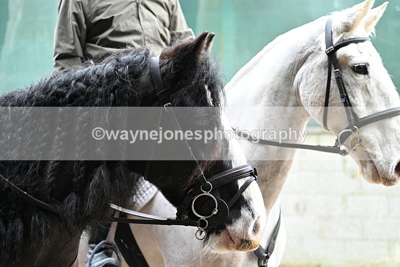 WJ7_8762 - Berks & Bucks - Rowles Farm 15-02-26