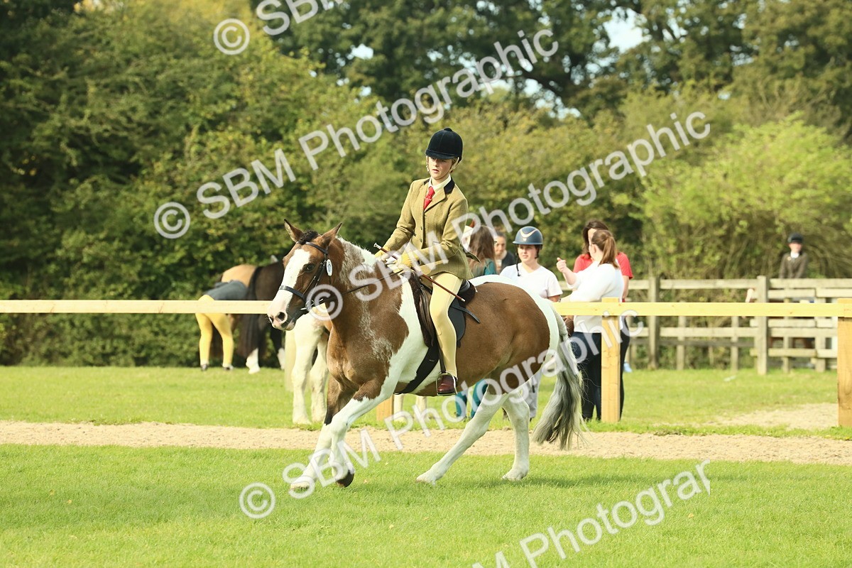 SBM_68121 - S57 - Part Bred Pony Ridden