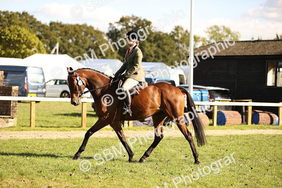 SBM_26446 - S6 - Novice & Newcomers Ridden Horse