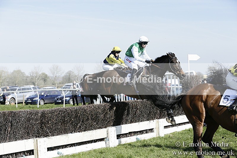 PtP 260317 72 - Mendip Farmers Point-to-Point Ston Easton 26/03/17