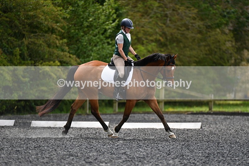 WJ5_0190 - Time 11:47 to 12:21