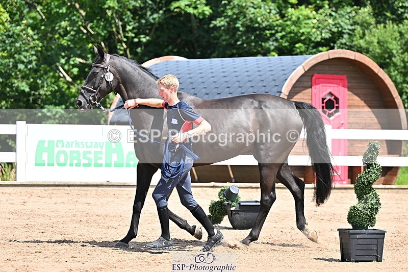 240718A-105245-01114 - Trot Up 12pm to 1pm